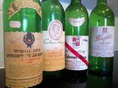 My old wine bottles