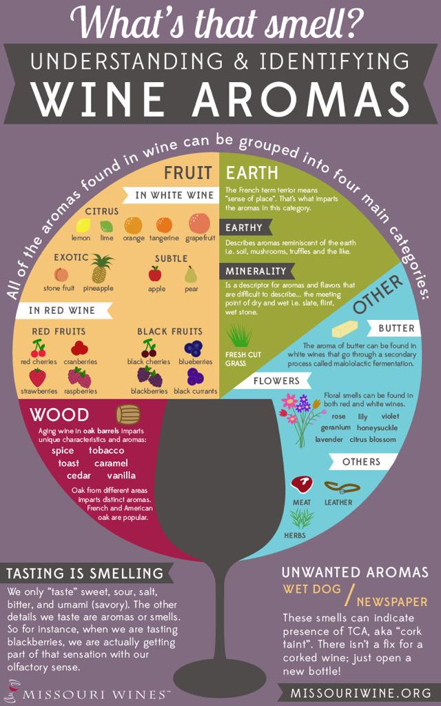 a-wine-aromas-wheel