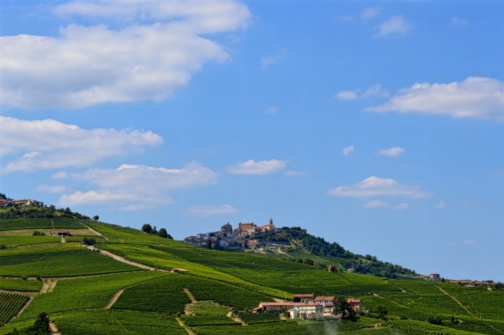 In 2014 Piedmont’s vineyard landscape in the Langhe, Roero, and Monferrato received UNESCO World Heritage site designation.