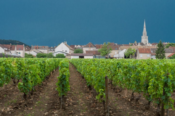 Jason Davis Images 2013