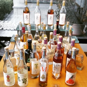 wine wankers piemonte trip piedmont marolo grappa grappe alba